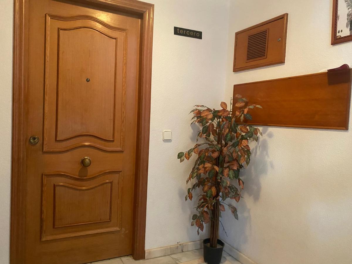 Homely Apartments Mar 3 Τορεβιέχα Εξωτερικό φωτογραφία